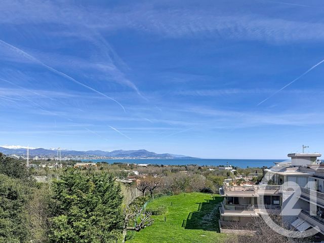 appartement - ANTIBES - 06