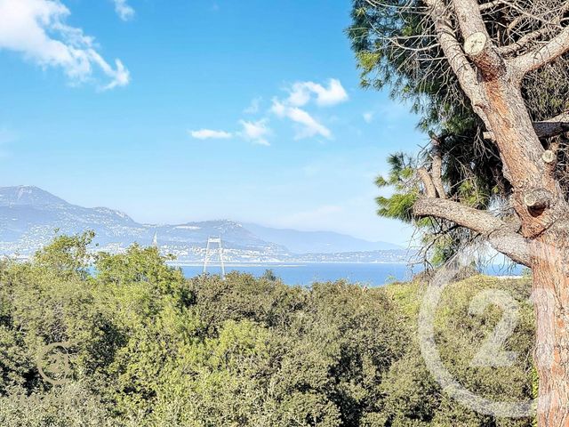 maison à vendre - 9 pièces - 294.94 m2 - ANTIBES - 06 - PROVENCE-ALPES-COTE-D-AZUR - Century 21 Albert 1Er