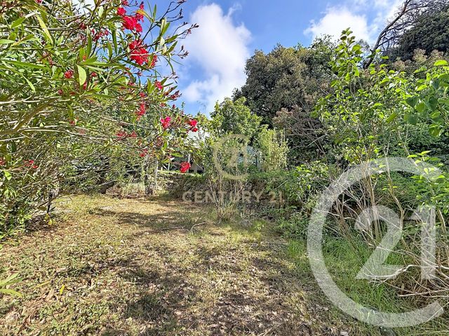 maison à vendre - 4 pièces - 105.05 m2 - BIOT - 06 - PROVENCE-ALPES-COTE-D-AZUR - Century 21 Albert 1Er